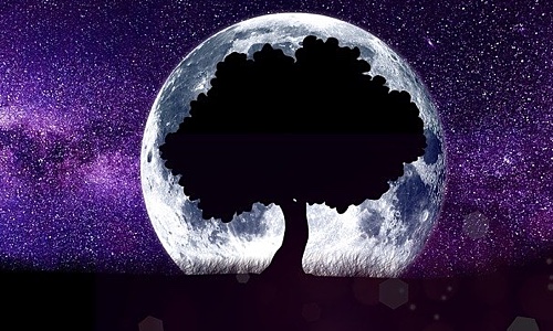 Can I Change My Numerology Numbers?